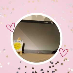 🦄ORDINATEUR VAIO TAP 20 (reconditionné ♻️)